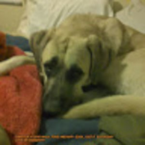 Meet your Posher, Christa